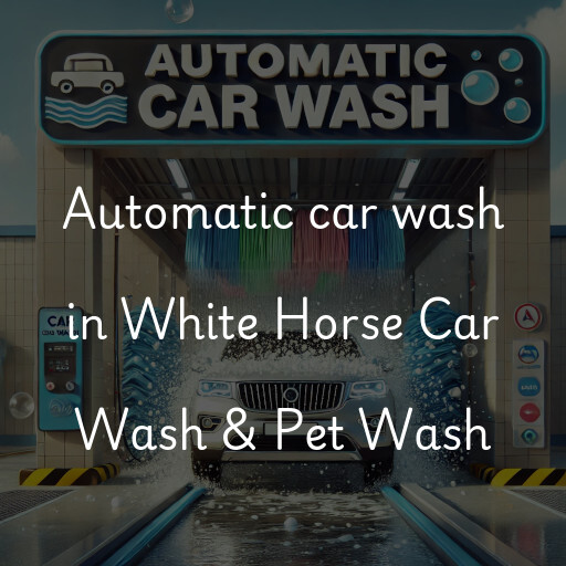 Automatic car wash in White Horse Car Wash & Pet Wash