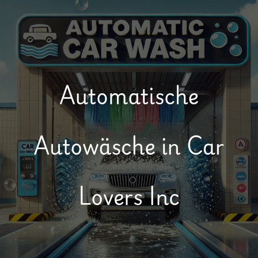 Lavado de autos en Car Lovers Inc