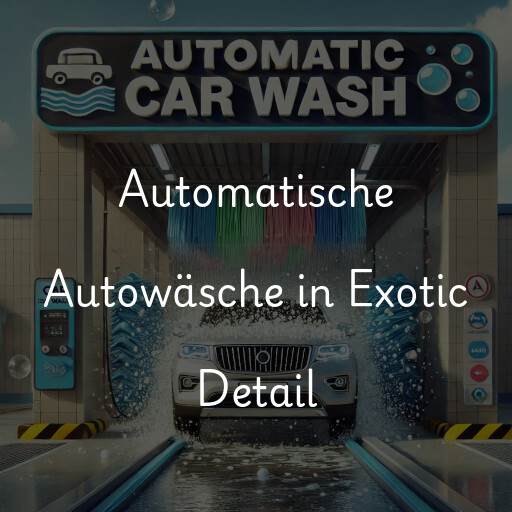 Lavado de autos en Exotic Detail