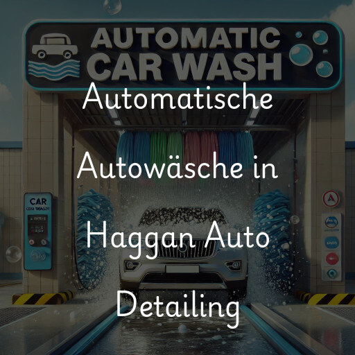 Lavado de autos en Haggan Auto Detailing