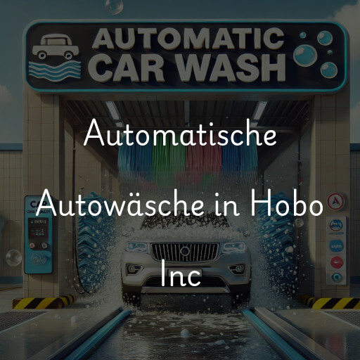 Lavado de autos en Hobo Inc