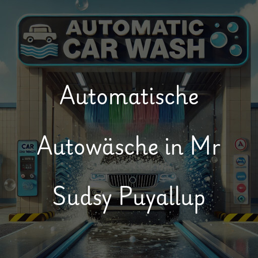 Lavado de autos en Mr Sudsy Puyallup
