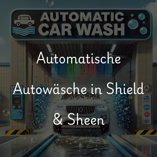 Lavado de autos en Shield & Sheen