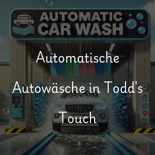 Lavado de autos en Todd's Touch
