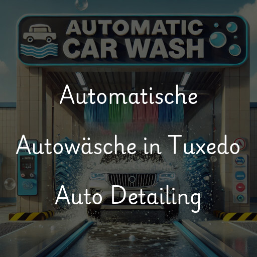 Lavado de autos en Tuxedo Auto Detailing