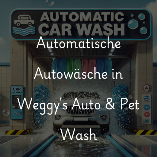 Automatische Autowäsche in Weggy's Auto & Pet Wash
