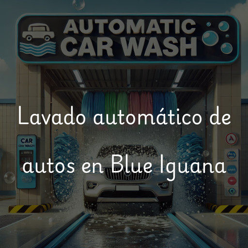 Lavado automático de autos en Blue Iguana