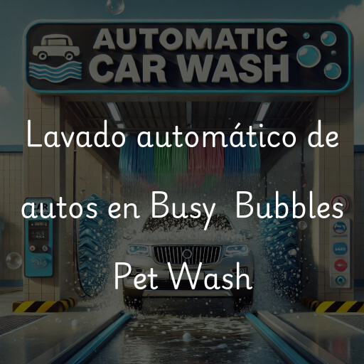 Lavado automático de autos en Busy  Bubbles Pet Wash