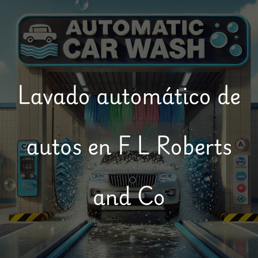 Lavado automático de autos en F L Roberts and Co