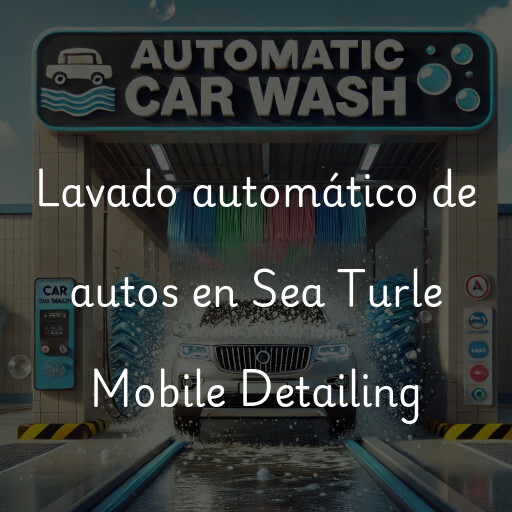 Lavado automático de autos en Sea Turle Mobile Detailing