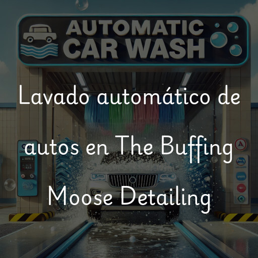 Lavado automático de autos en The Buffing Moose Detailing