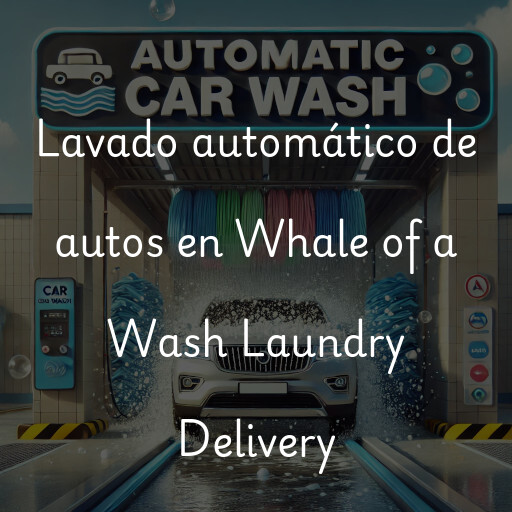 Lavado automático de autos en Whale of a Wash Laundry Delivery