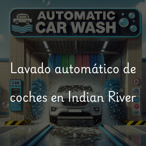Lavado automático de coches en Indian River