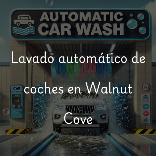 Lavado automático de coches en Walnut Cove