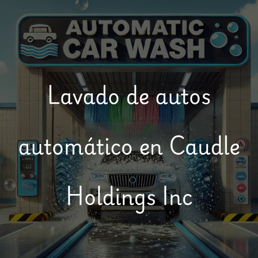 Lavado de autos en Caudle Holdings Inc