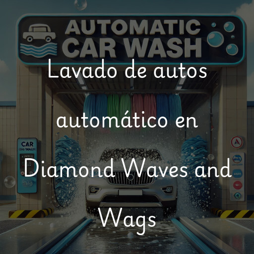 Lavado de autos en Diamond Waves and Wags