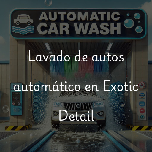 Lavado de autos en Exotic Detail