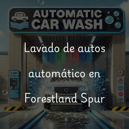 Lavado de autos en Forestland Spur
