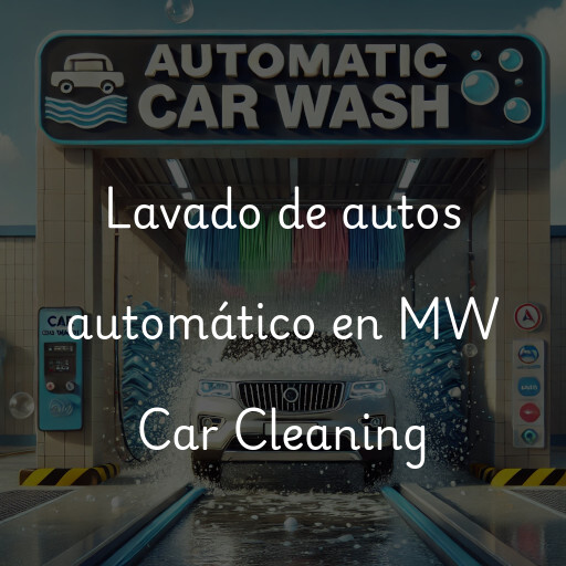 Lavado de autos en MW Car Cleaning