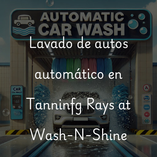Lavado de autos en Tanninfg Rays at Wash-N-Shine
