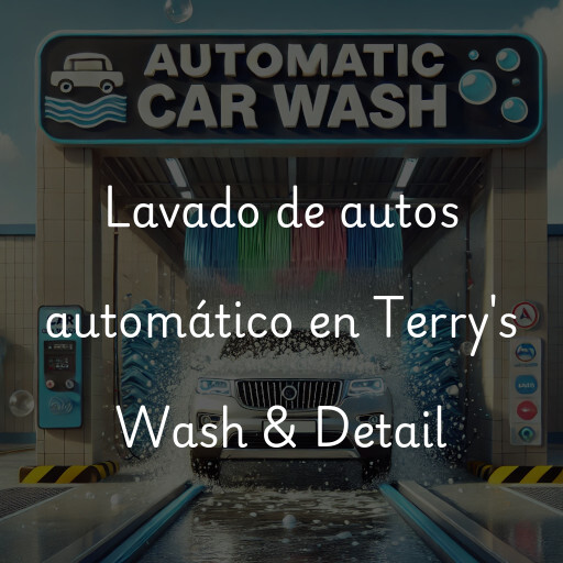 Lavado de autos en Terry's Wash & Detail