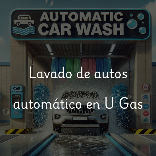 Lavado de autos en U Gas