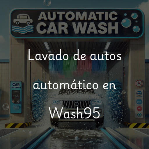 Lavado de autos en Wash95