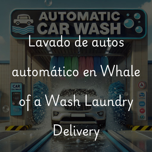 Lavado de autos en Whale of a Wash Laundry Delivery