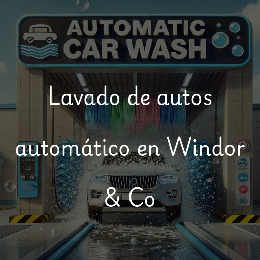 Lavado de autos en Windor & Co
