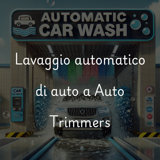 Lavado de autos en Auto Trimmers