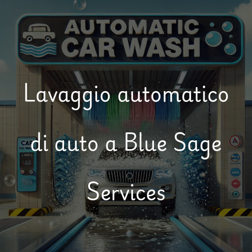 Lavado de autos en Blue Sage Services