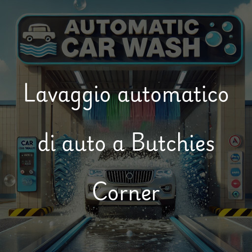 Lavado de autos en Butchies Corner