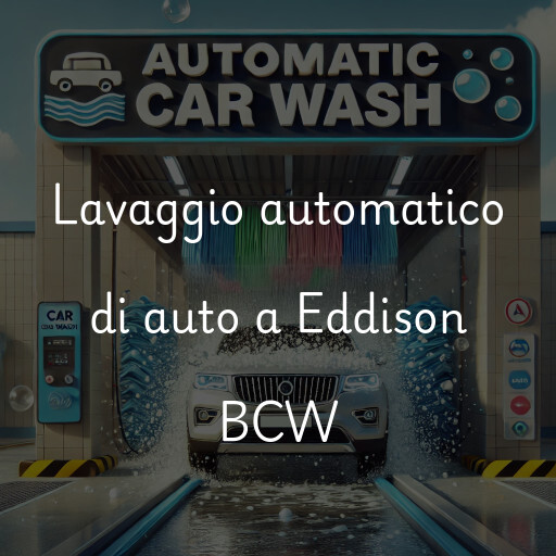Lavado de autos en Eddison BCW