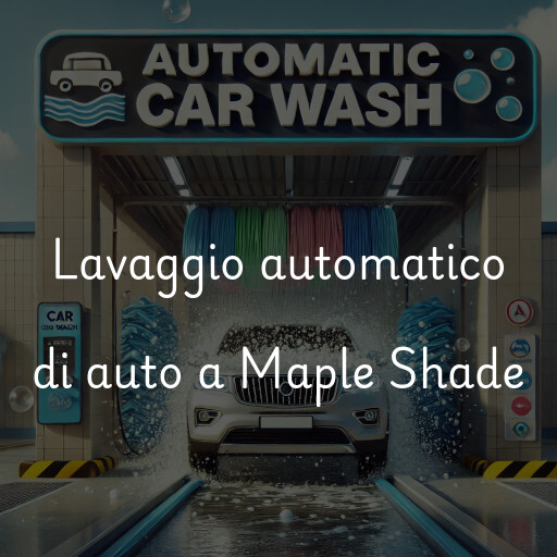 Lavaggio automatico di auto a Maple Shade