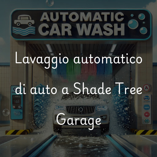 Lavaggio automatico di auto a Shade Tree Garage