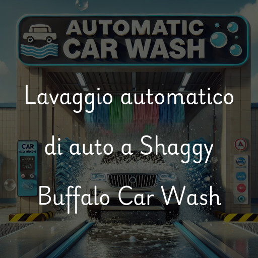 Lavado de autos en Shaggy Buffalo Car Wash