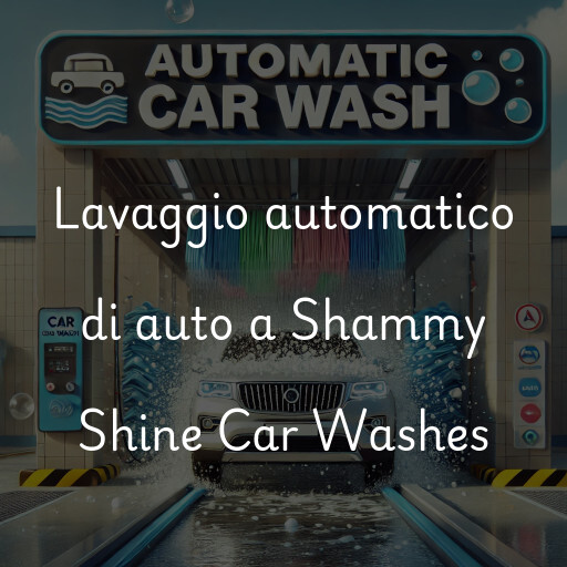 Lavado de autos en Shammy Shine Car Washes