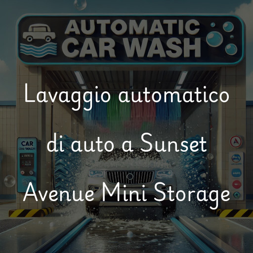 Lavaggio automatico di auto a Sunset Avenue Mini Storage