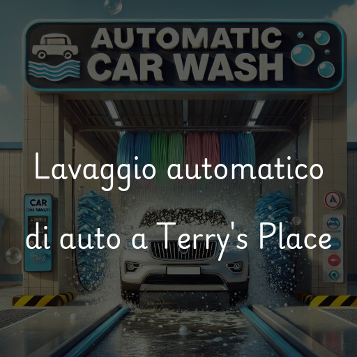 Lavaggio automatico di auto a Terry's Place
