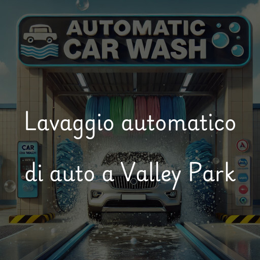 Lavaggio automatico di auto a Valley Park